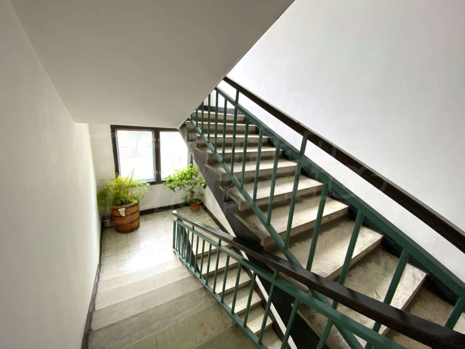 Gallery Picture 23