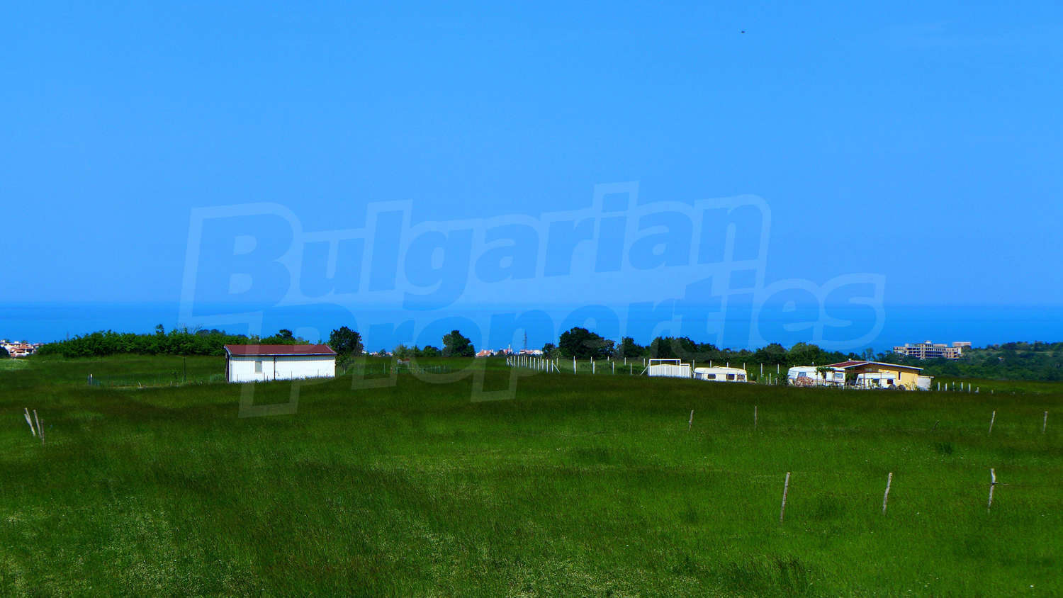 Gallery Picture 23