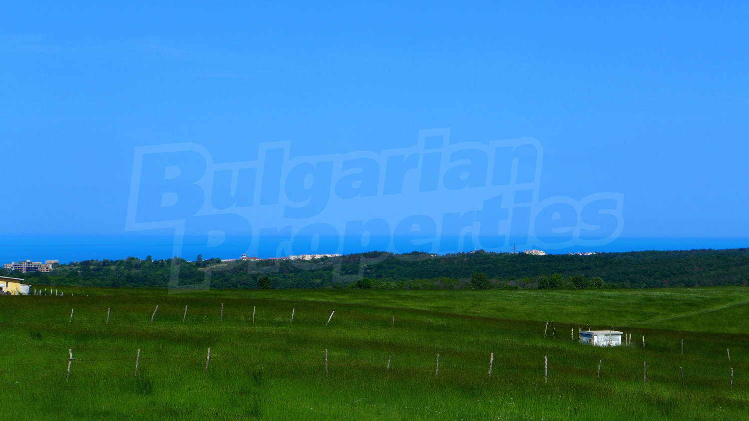 Gallery Picture 24