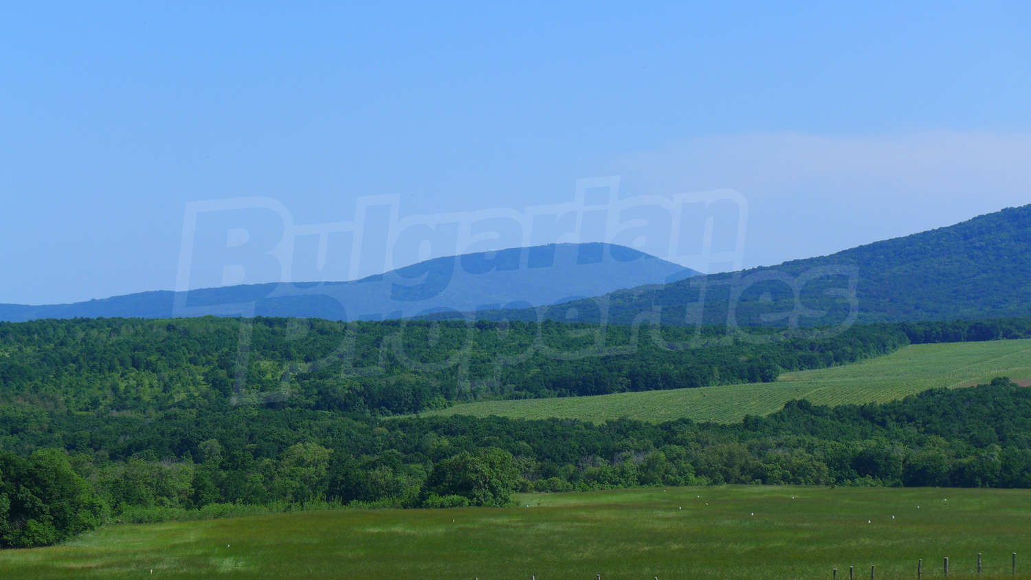 Gallery Picture 26