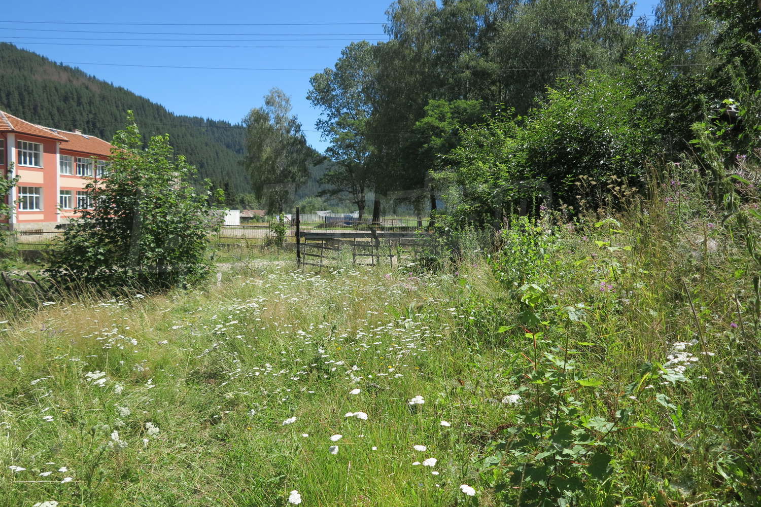 Gallery Picture 11