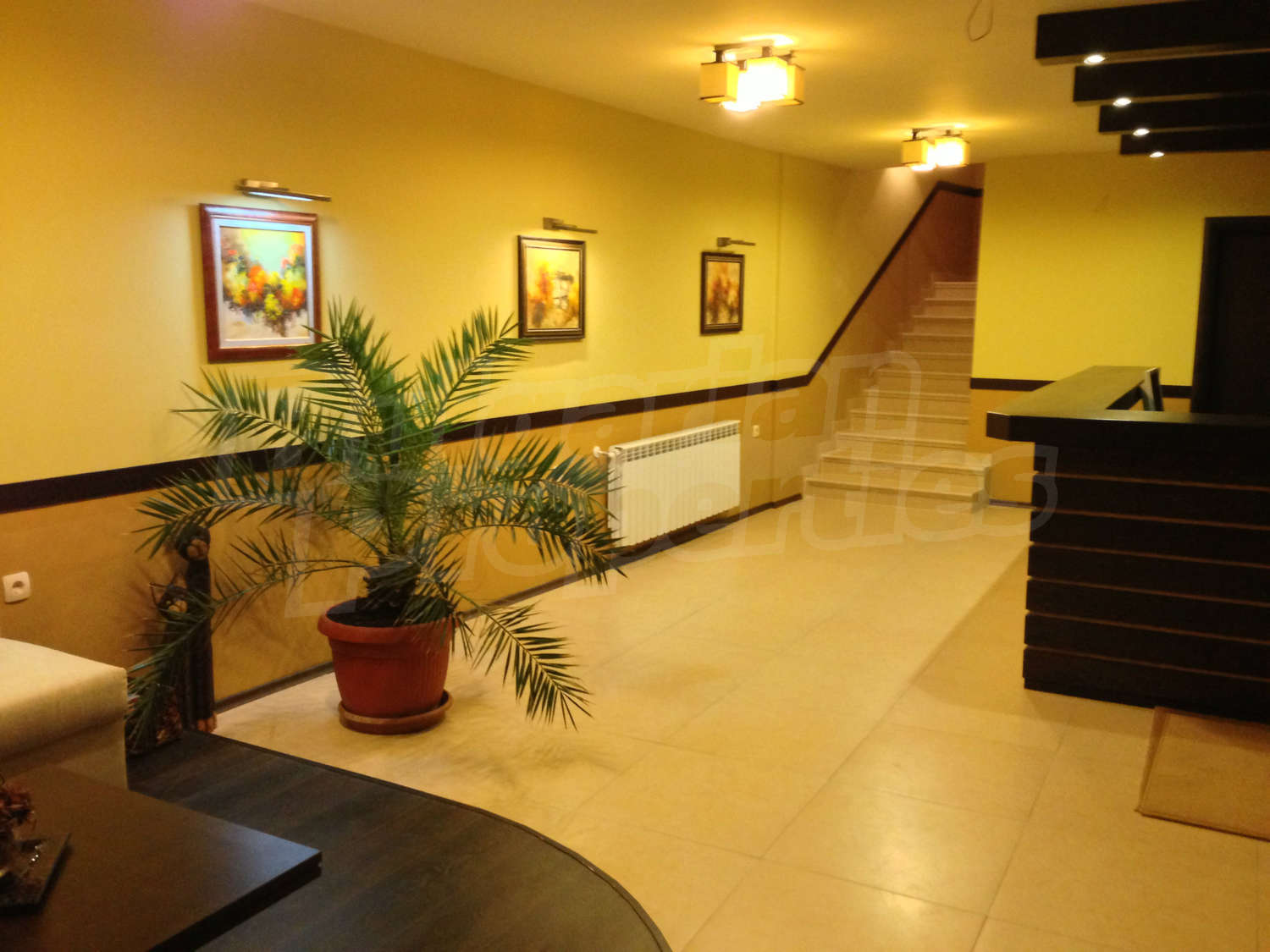 Gallery Picture 7