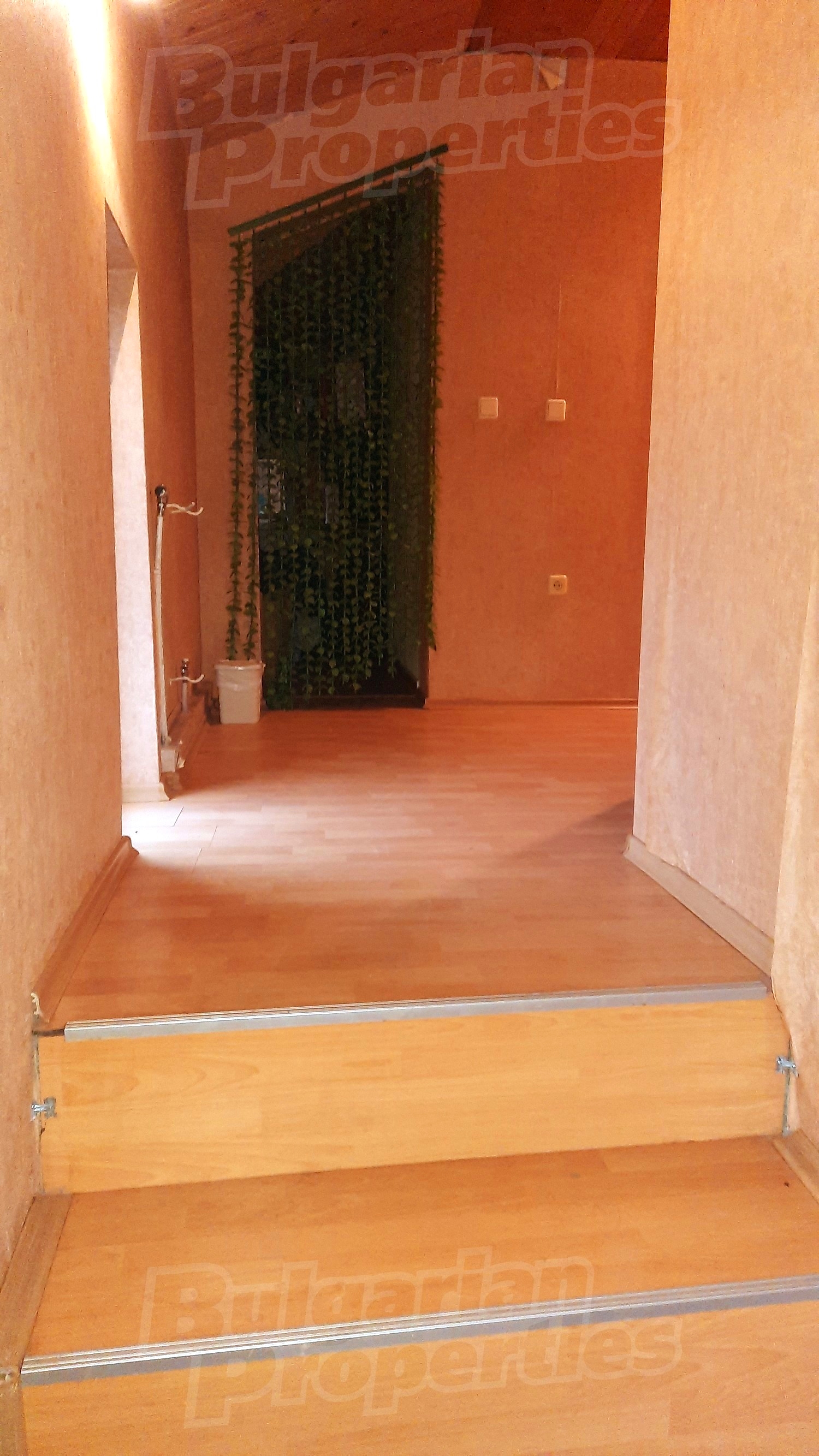 Gallery Picture 11