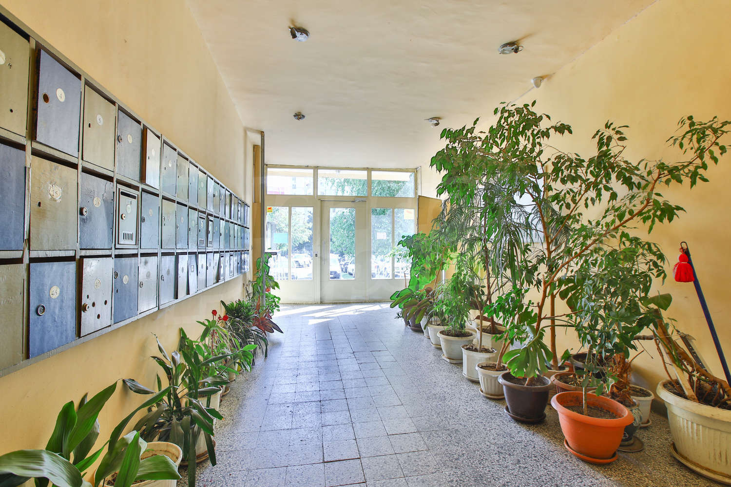Gallery Picture 19