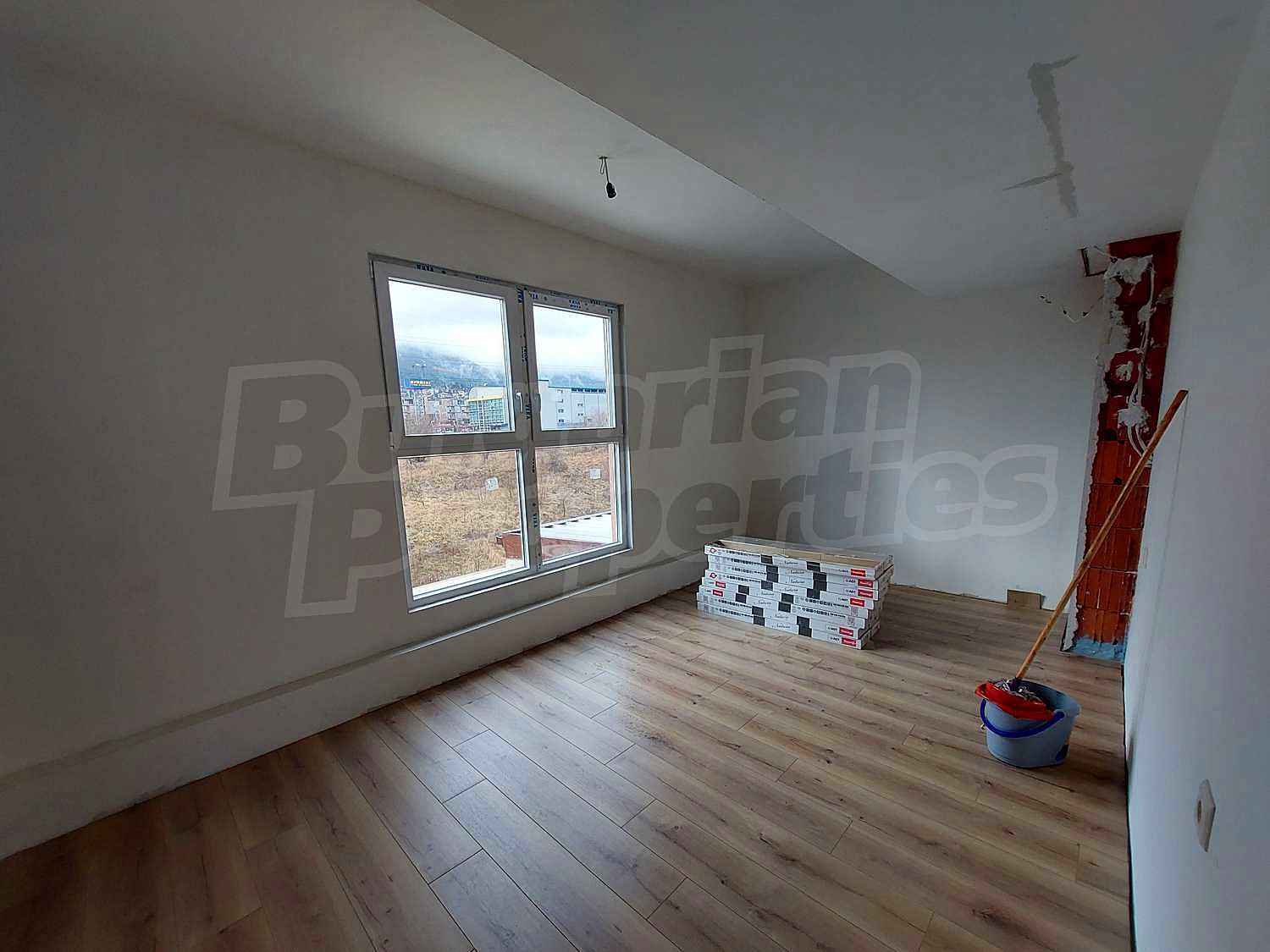 Gallery Picture 17