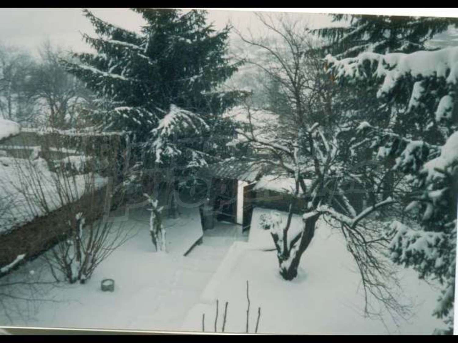 Gallery Picture 9