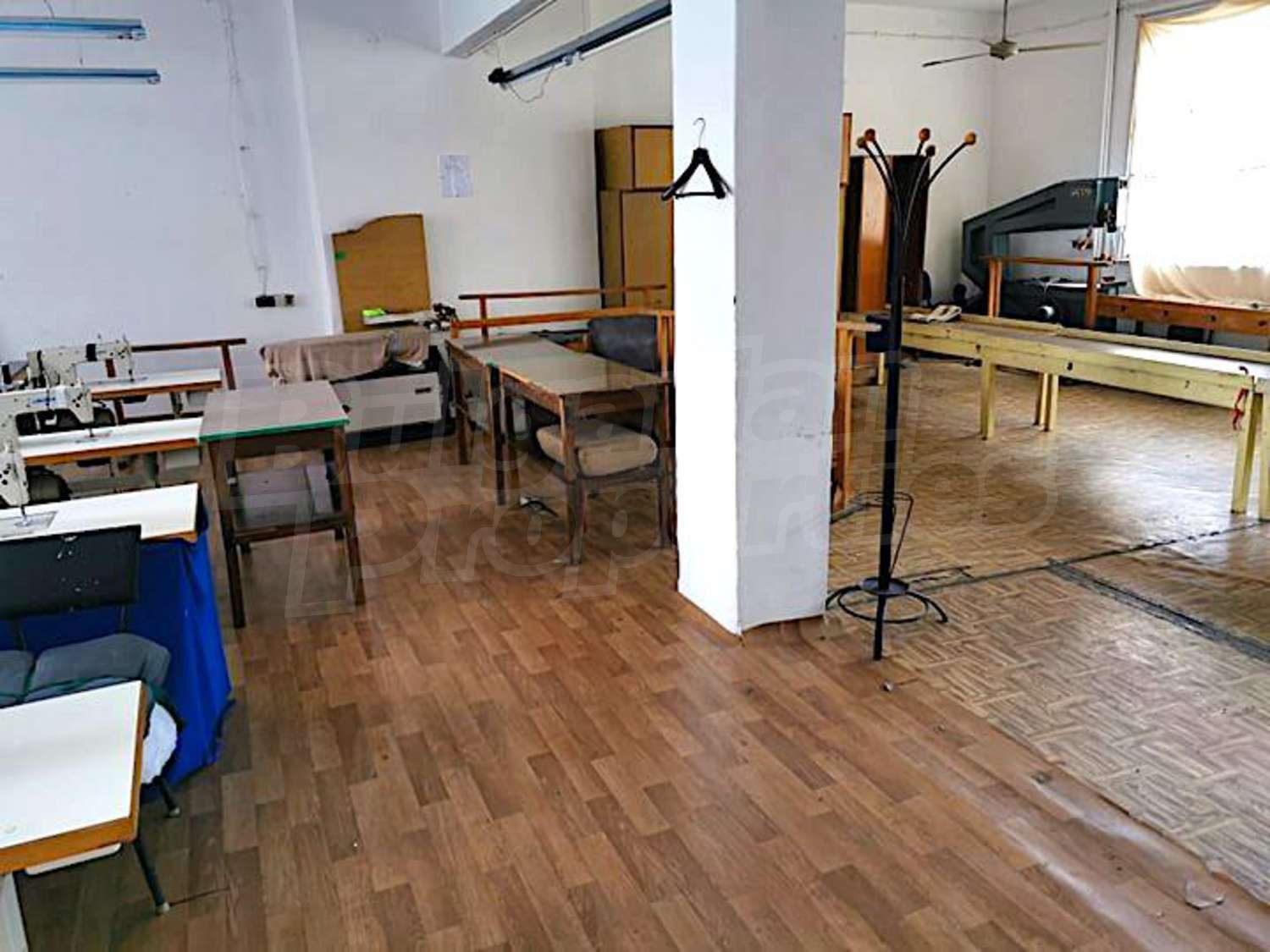 Gallery Picture 16