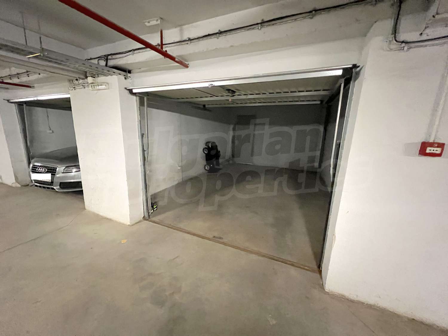 Gallery Picture 46