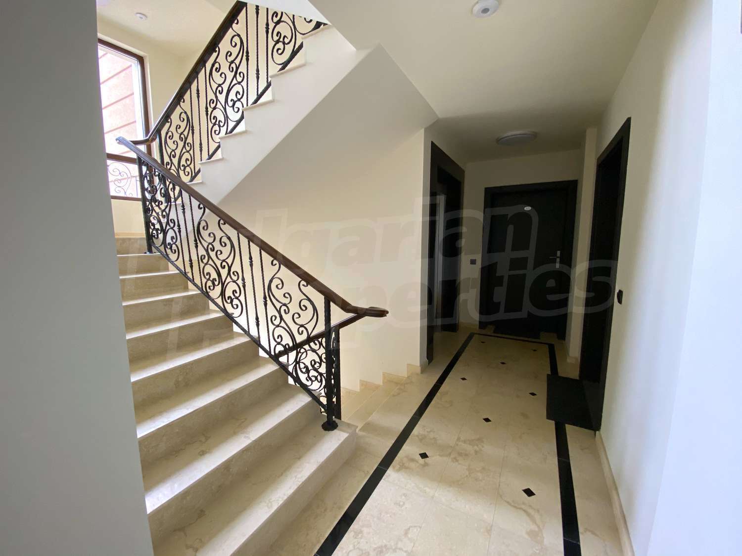 Gallery Picture 16