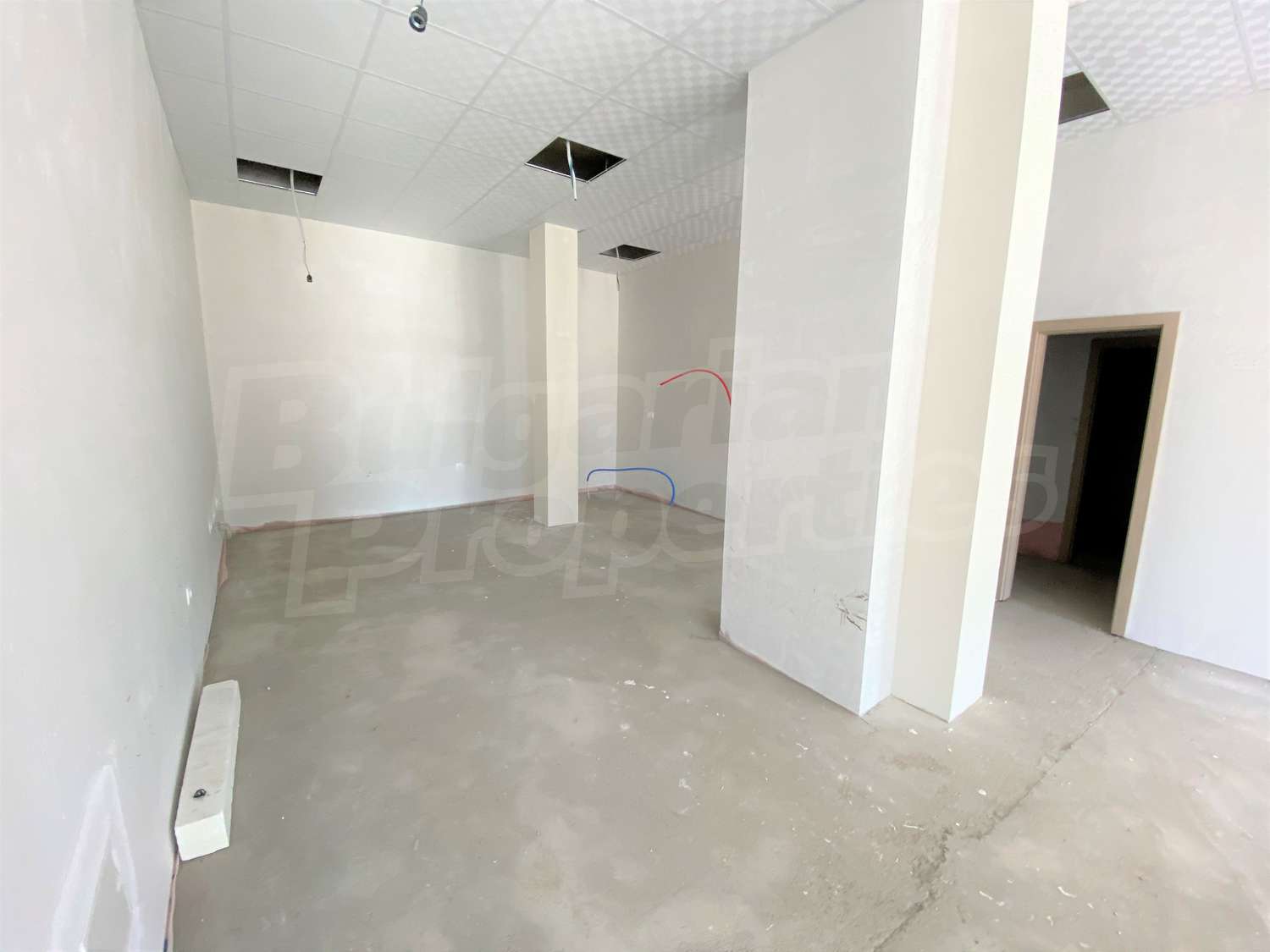 Gallery Picture 6