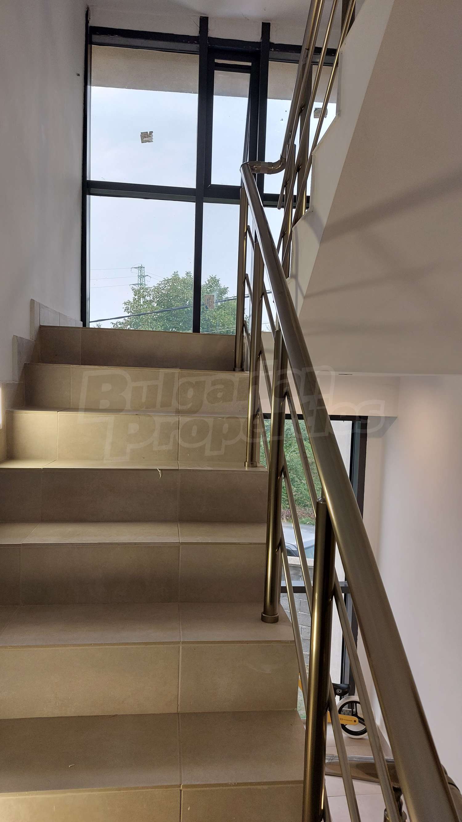 Gallery Picture 17
