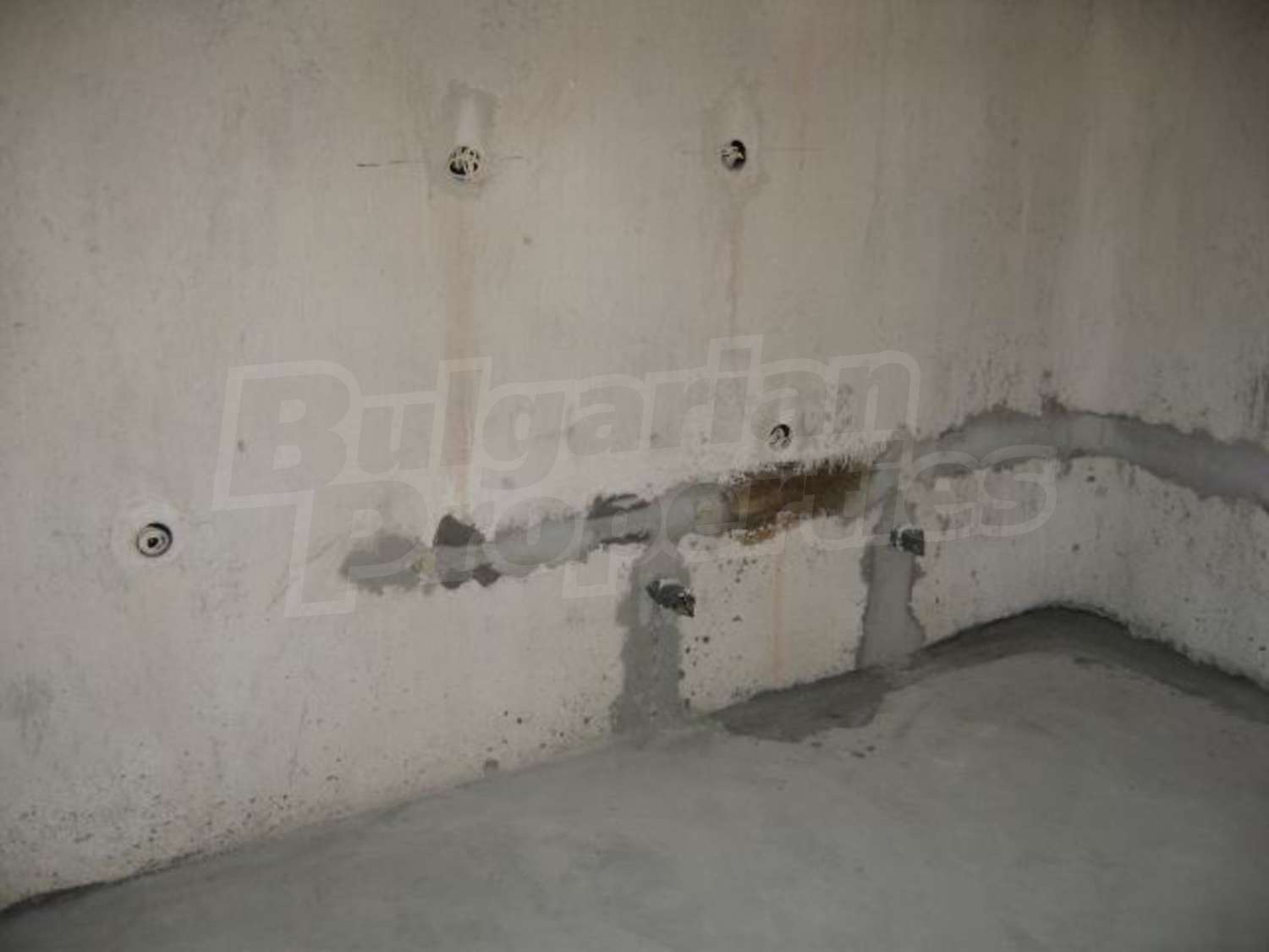 Gallery Picture 6