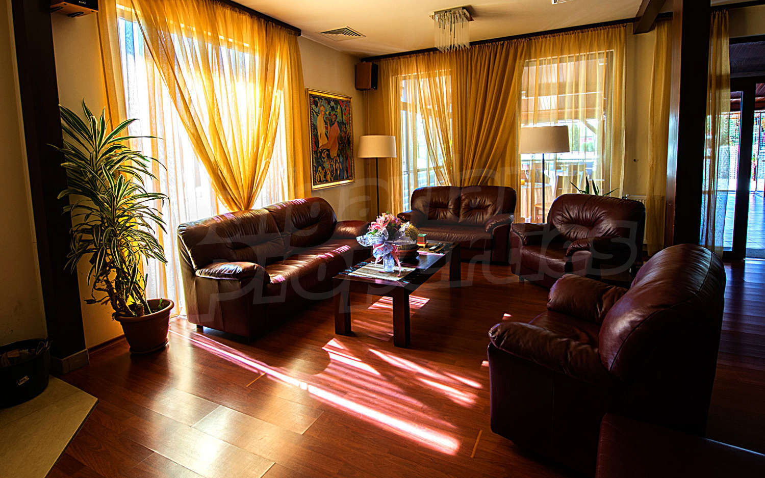 Gallery Picture 25
