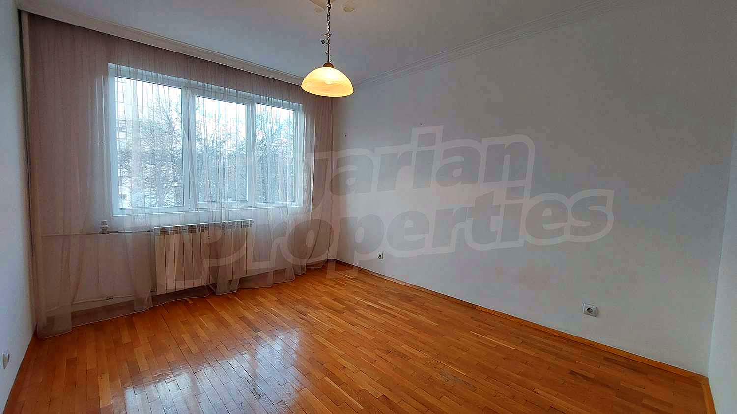 Gallery Picture 5