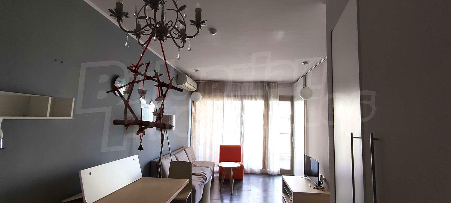 Gallery Picture 10