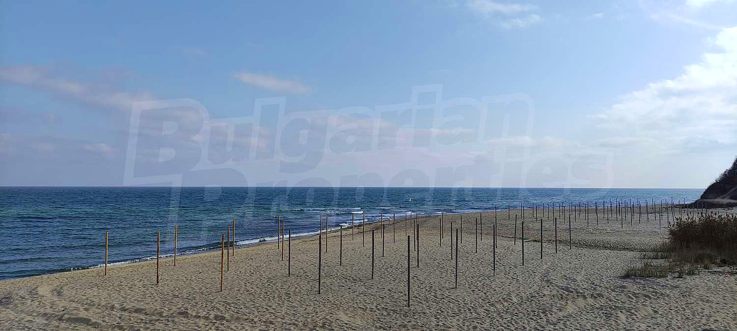 Gallery Picture 19