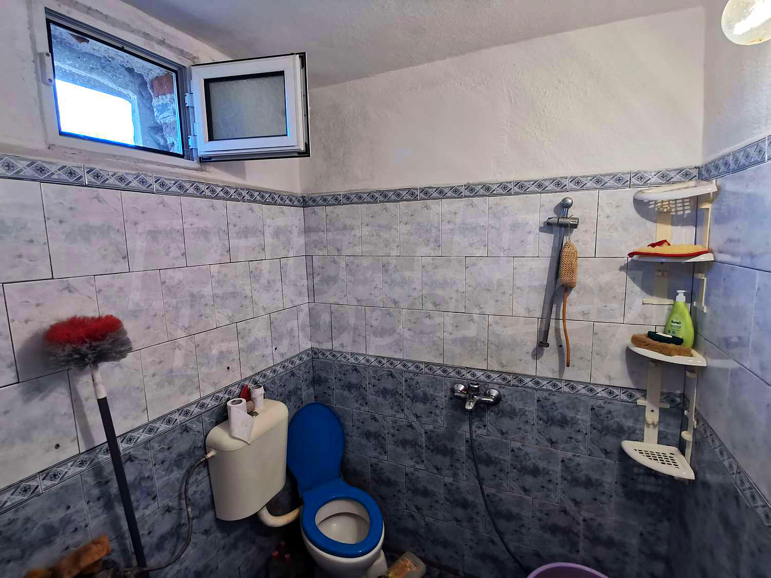 Gallery Picture 17