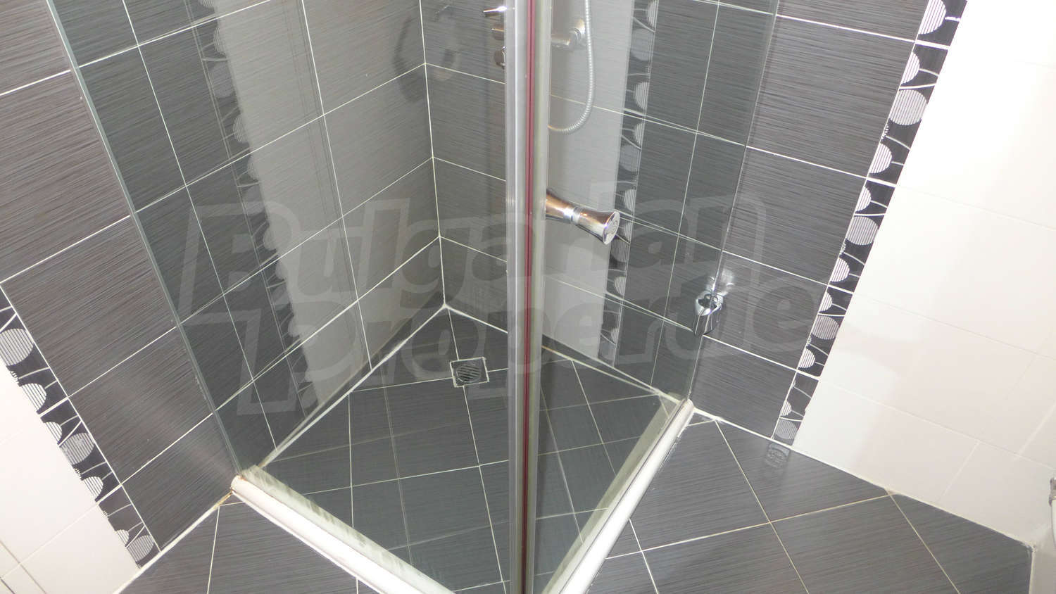 Gallery Picture 17