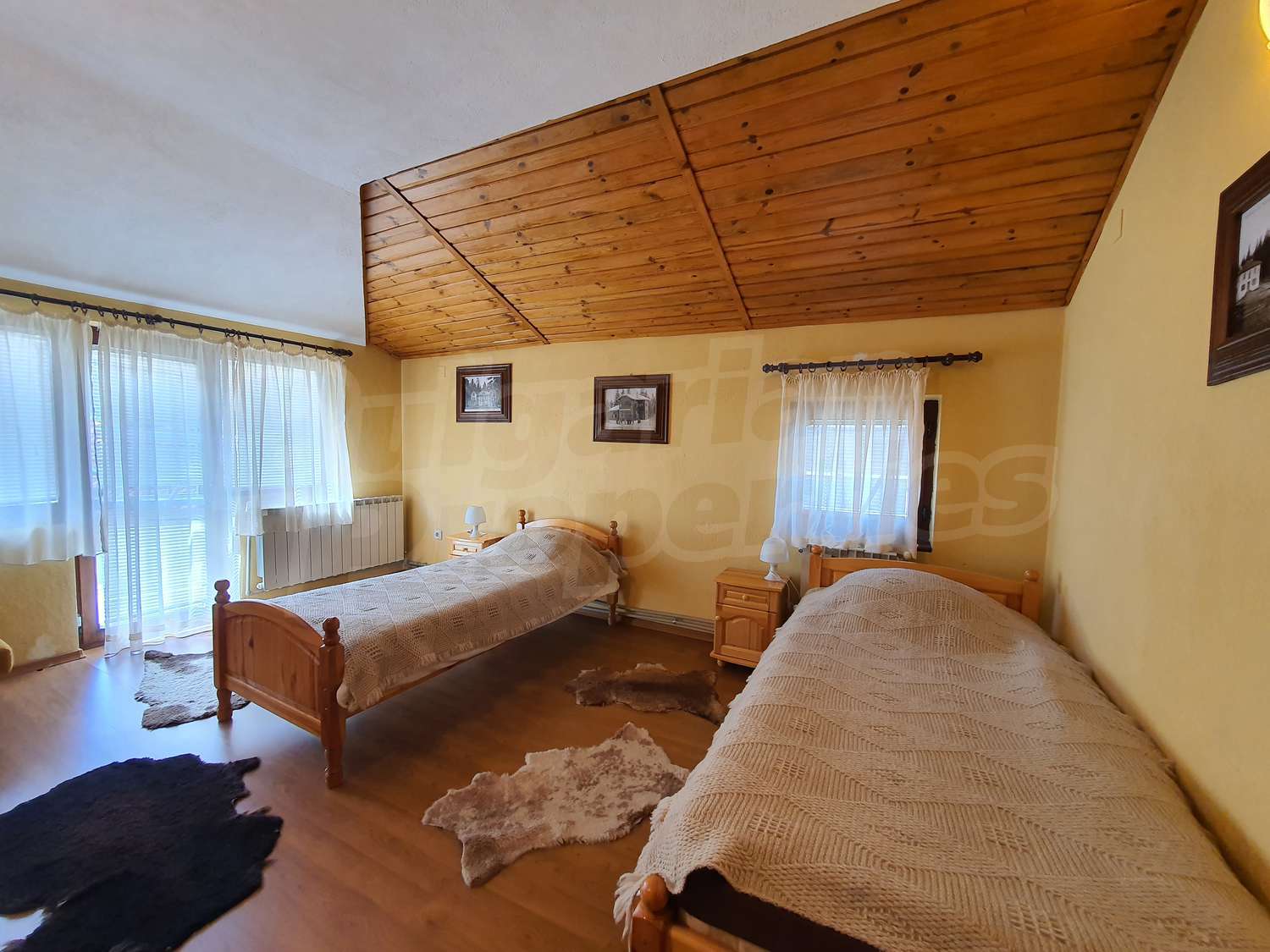 Gallery Picture 37