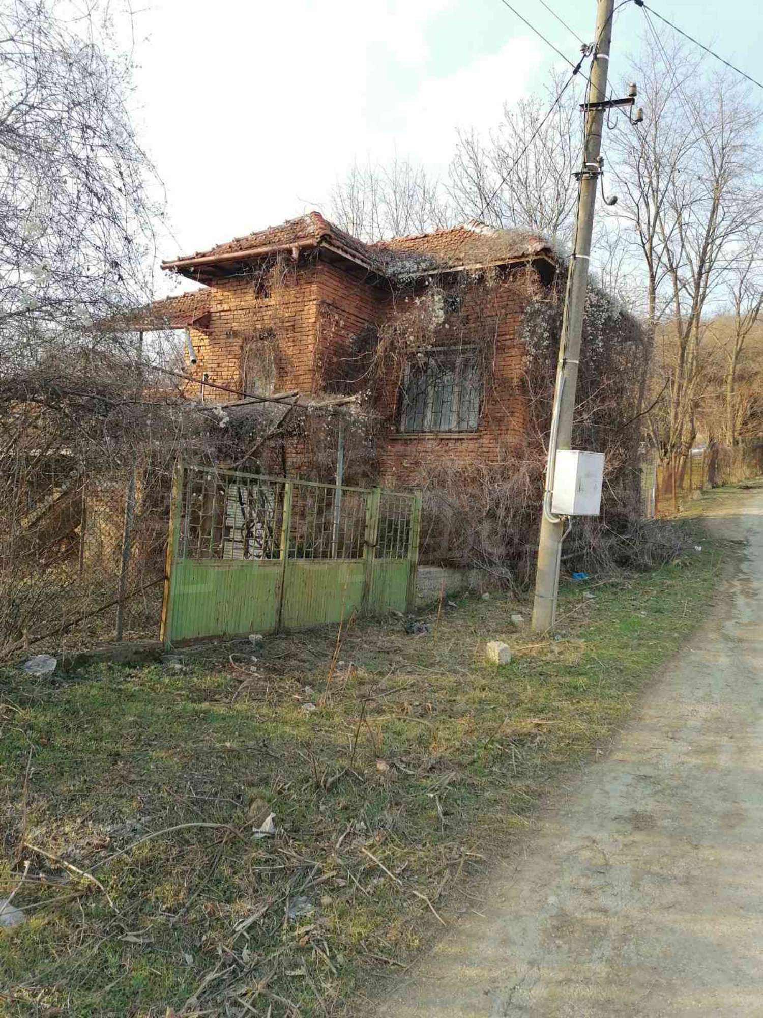 Gallery Picture 16