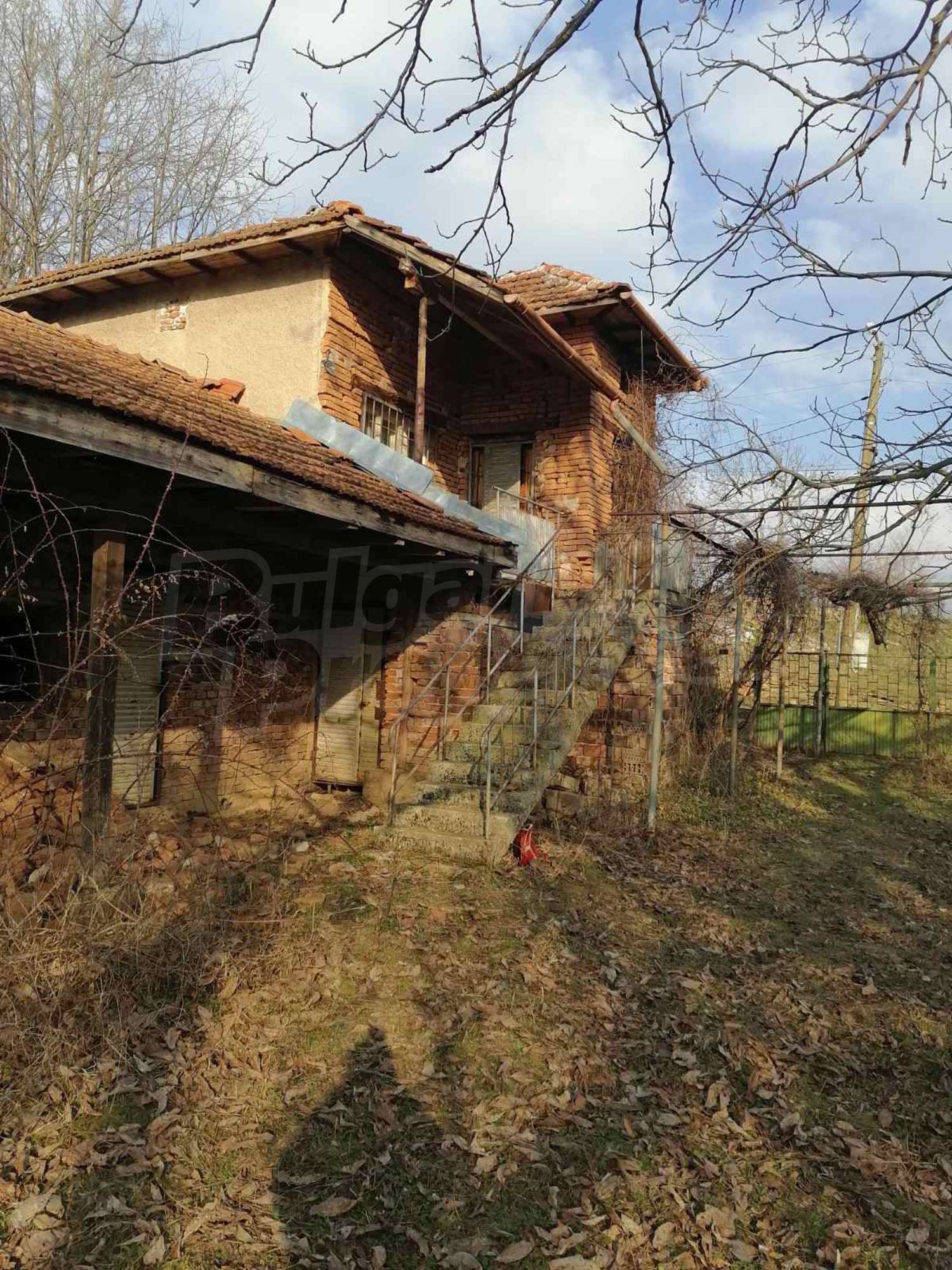 Gallery Picture 17