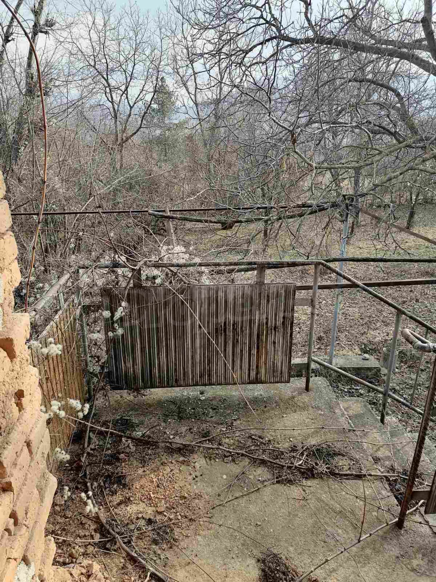 Gallery Picture 18