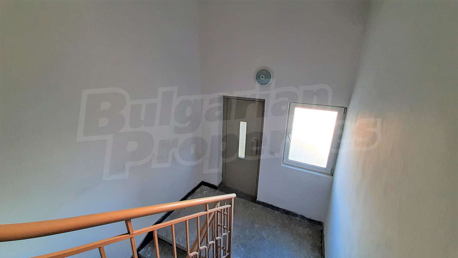 Gallery Picture 9