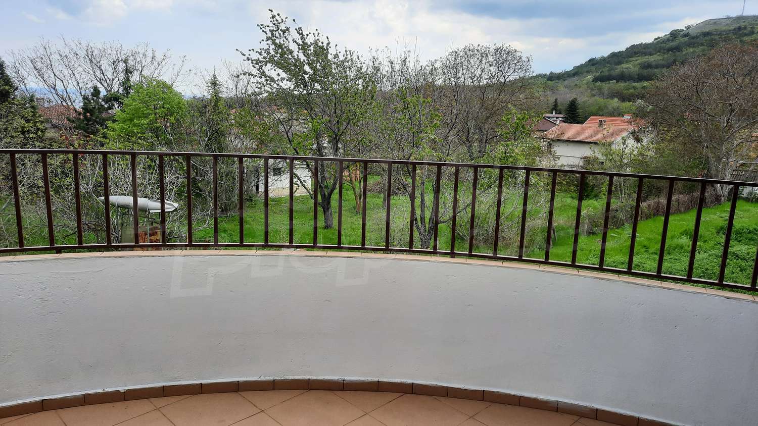 Gallery Picture 39