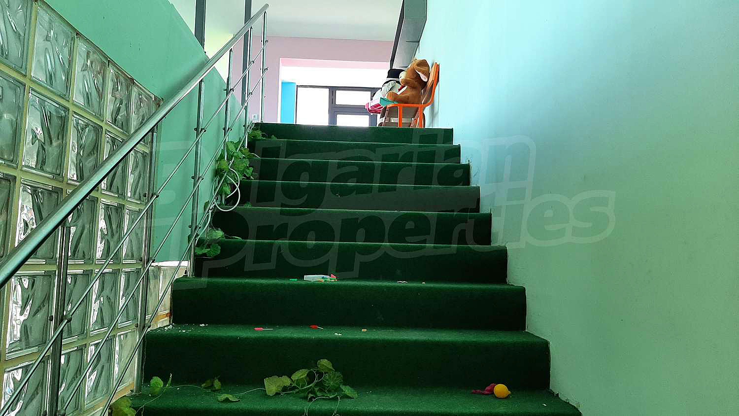 Gallery Picture 12