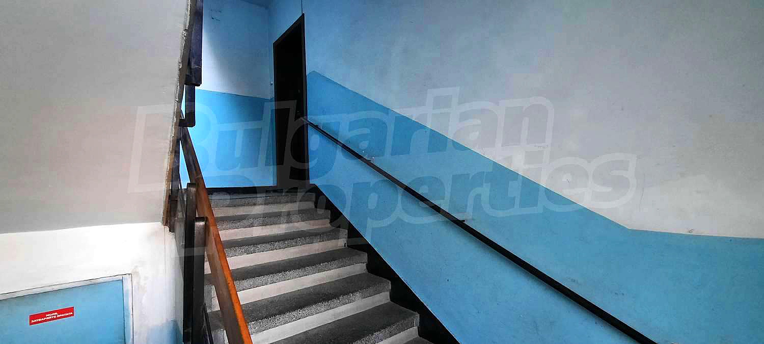 Gallery Picture 13