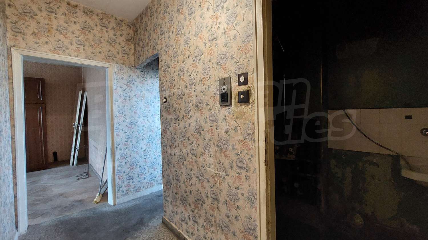 Gallery Picture 9