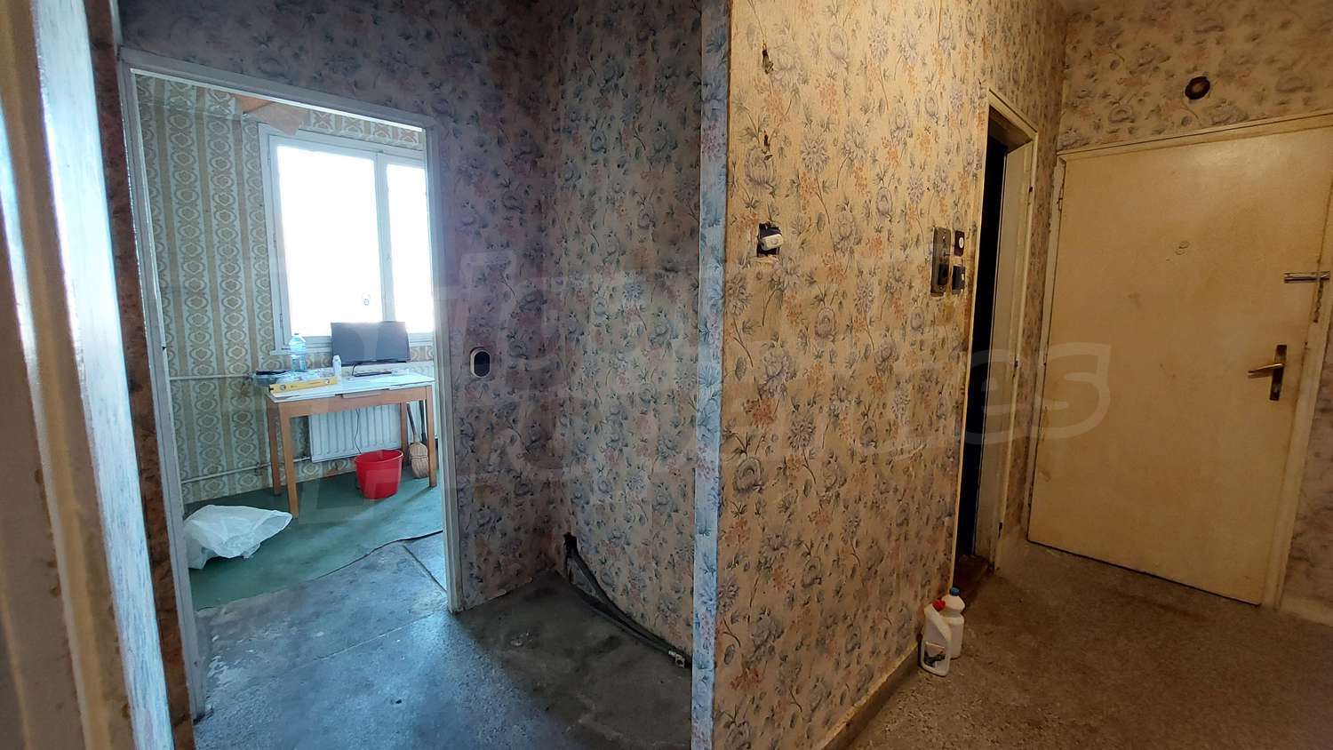 Gallery Picture 10