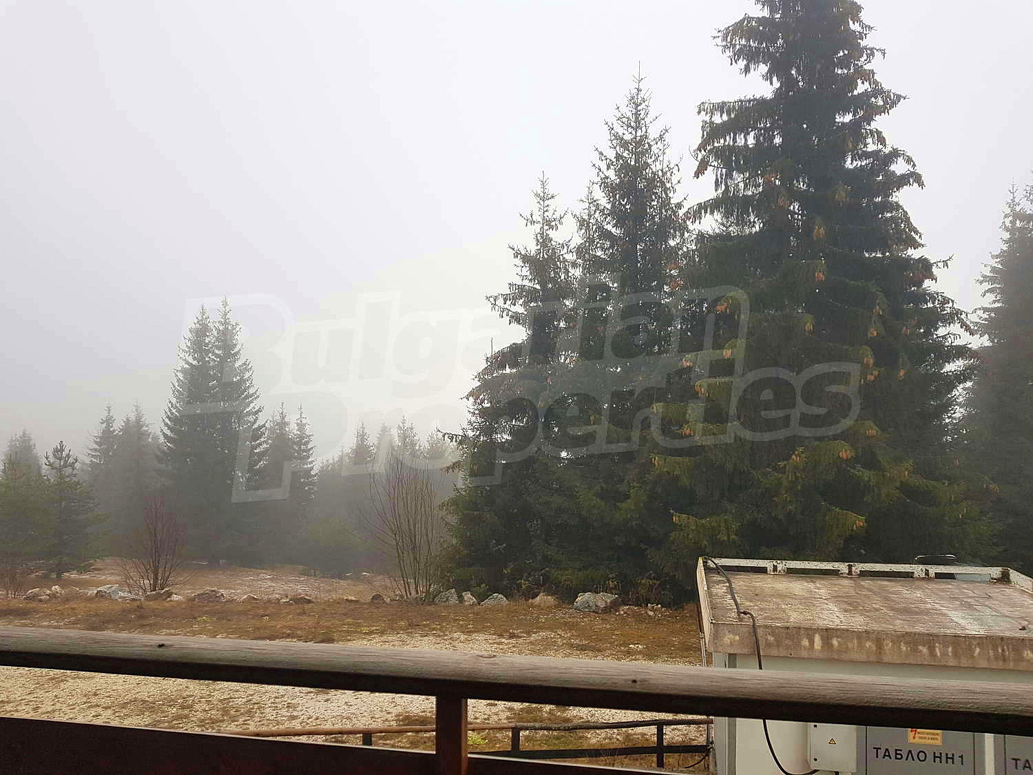Gallery Picture 10