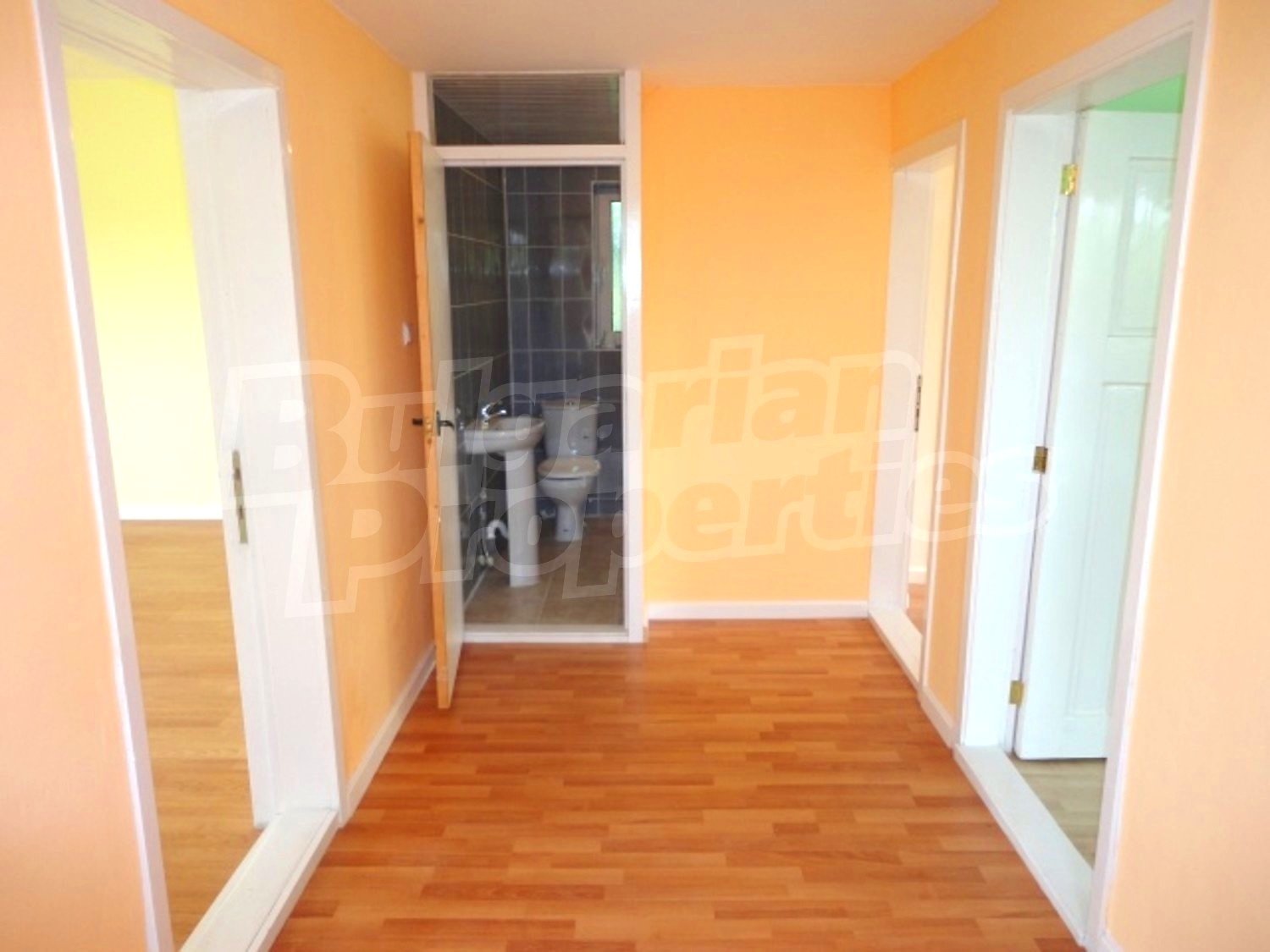 Gallery Picture 11