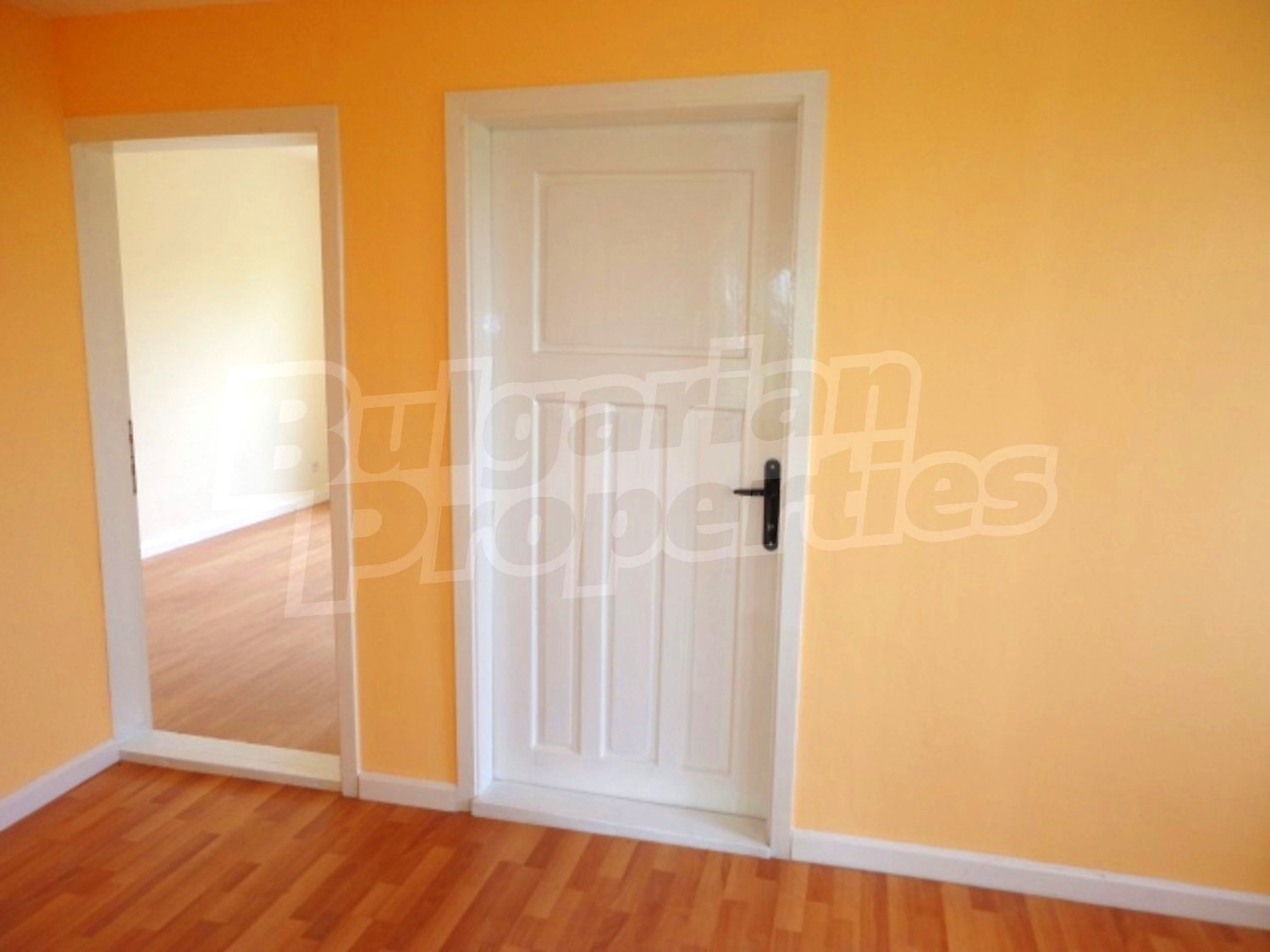Gallery Picture 13