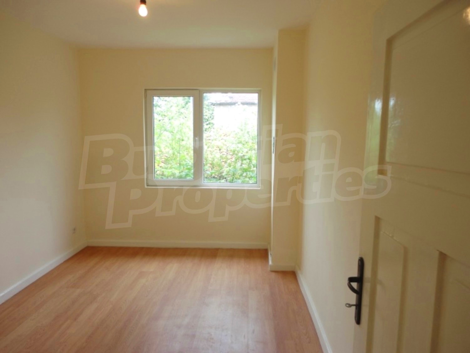 Gallery Picture 15