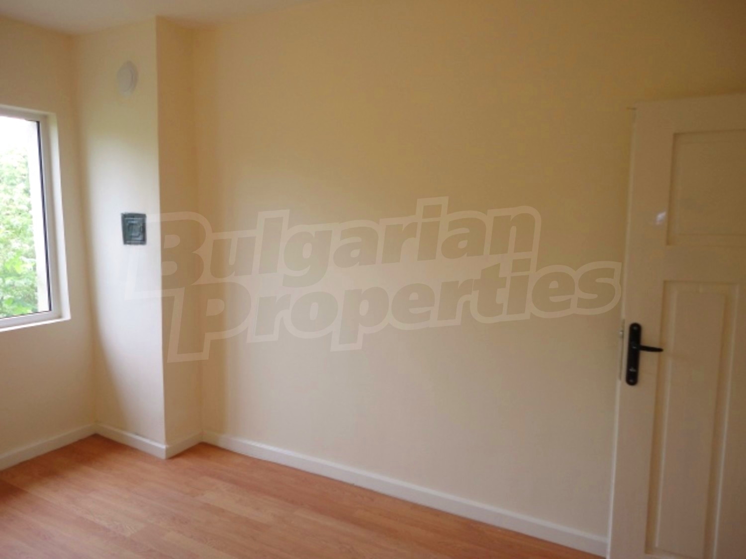 Gallery Picture 17