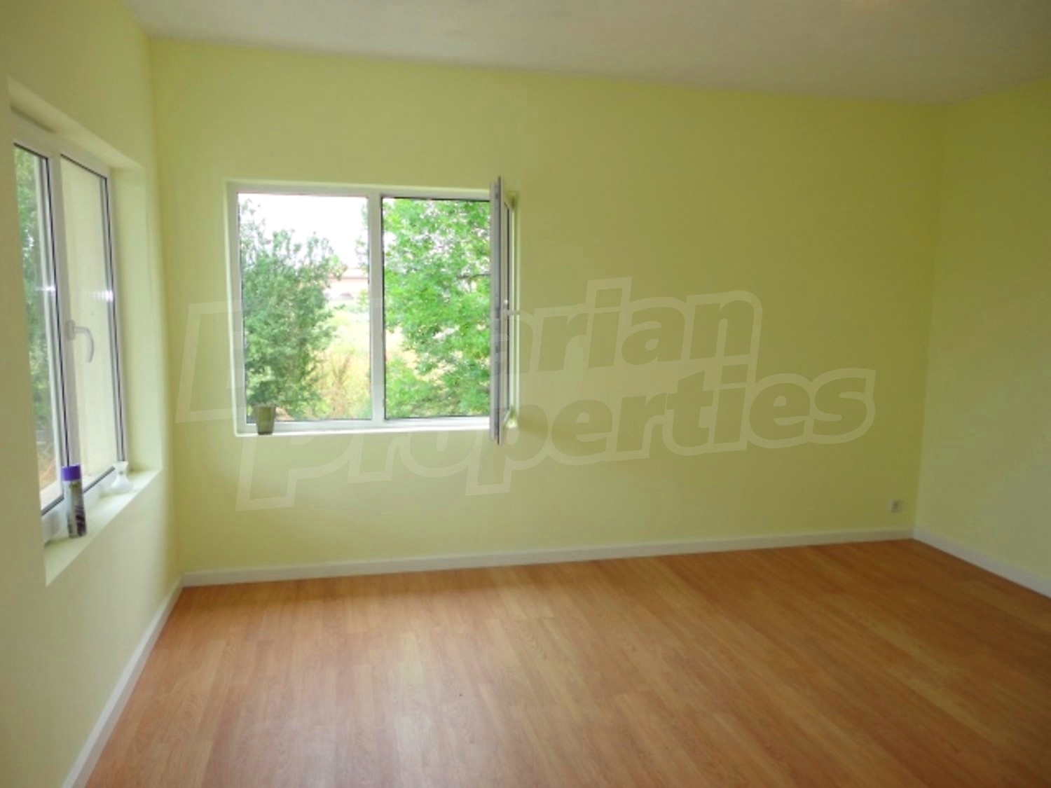 Gallery Picture 22