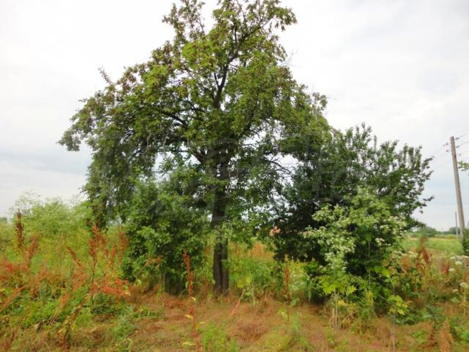Gallery Picture 28
