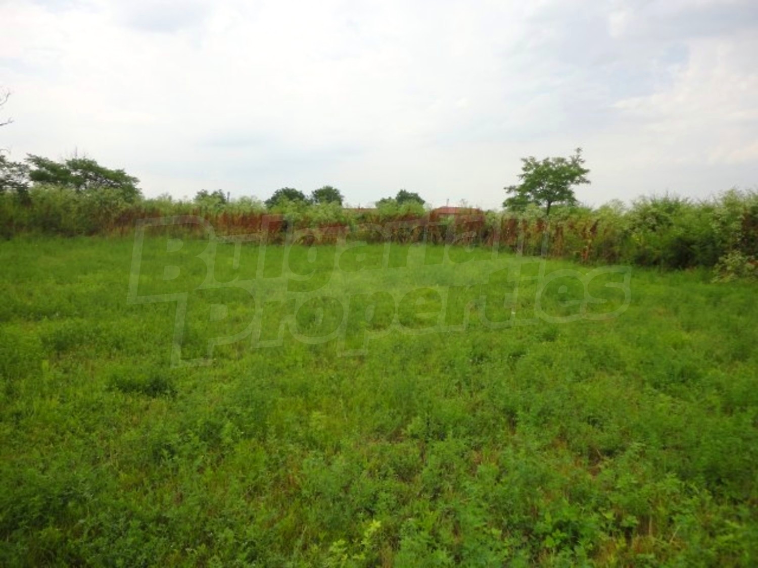 Gallery Picture 31