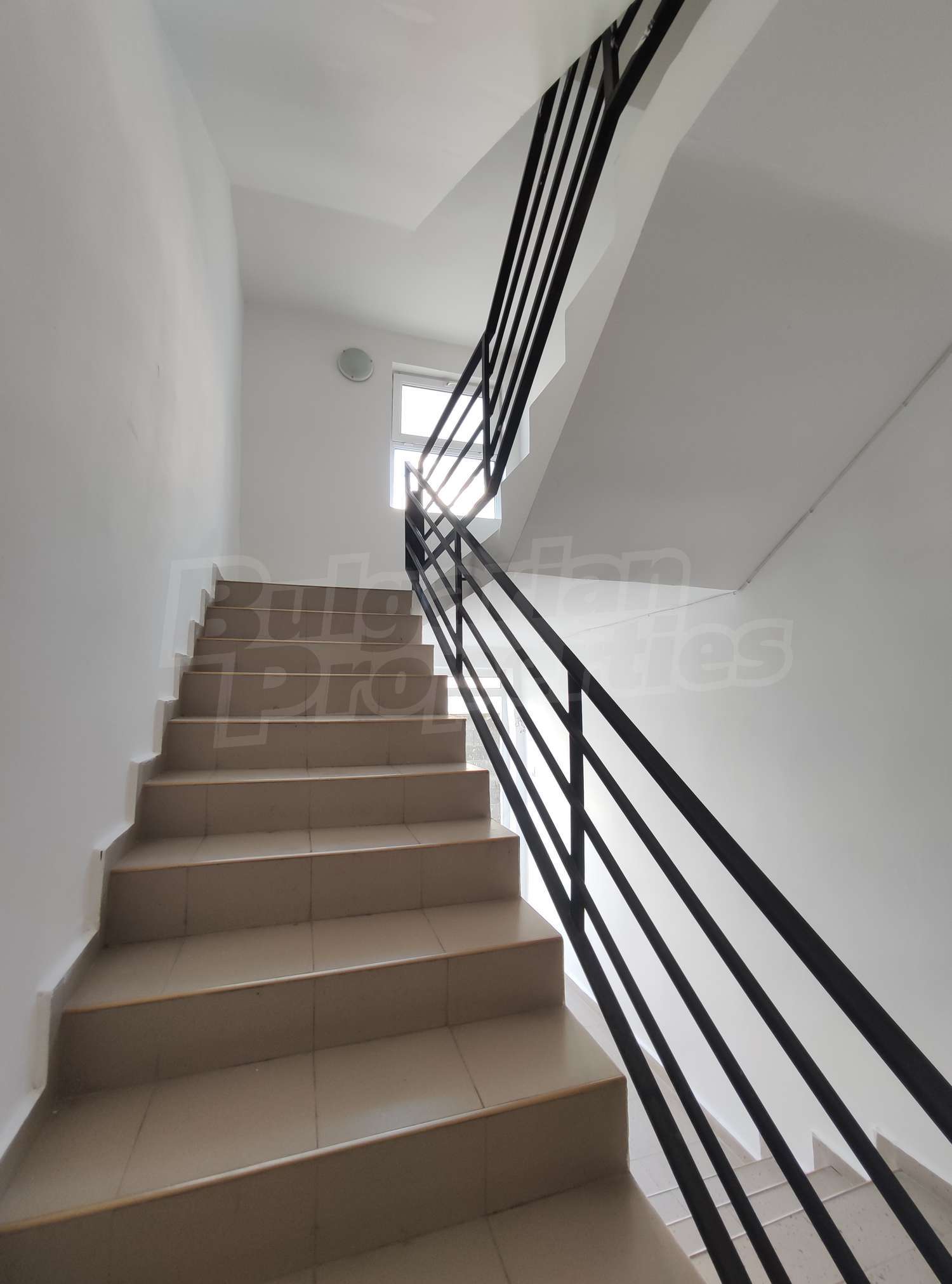 Gallery Picture 34