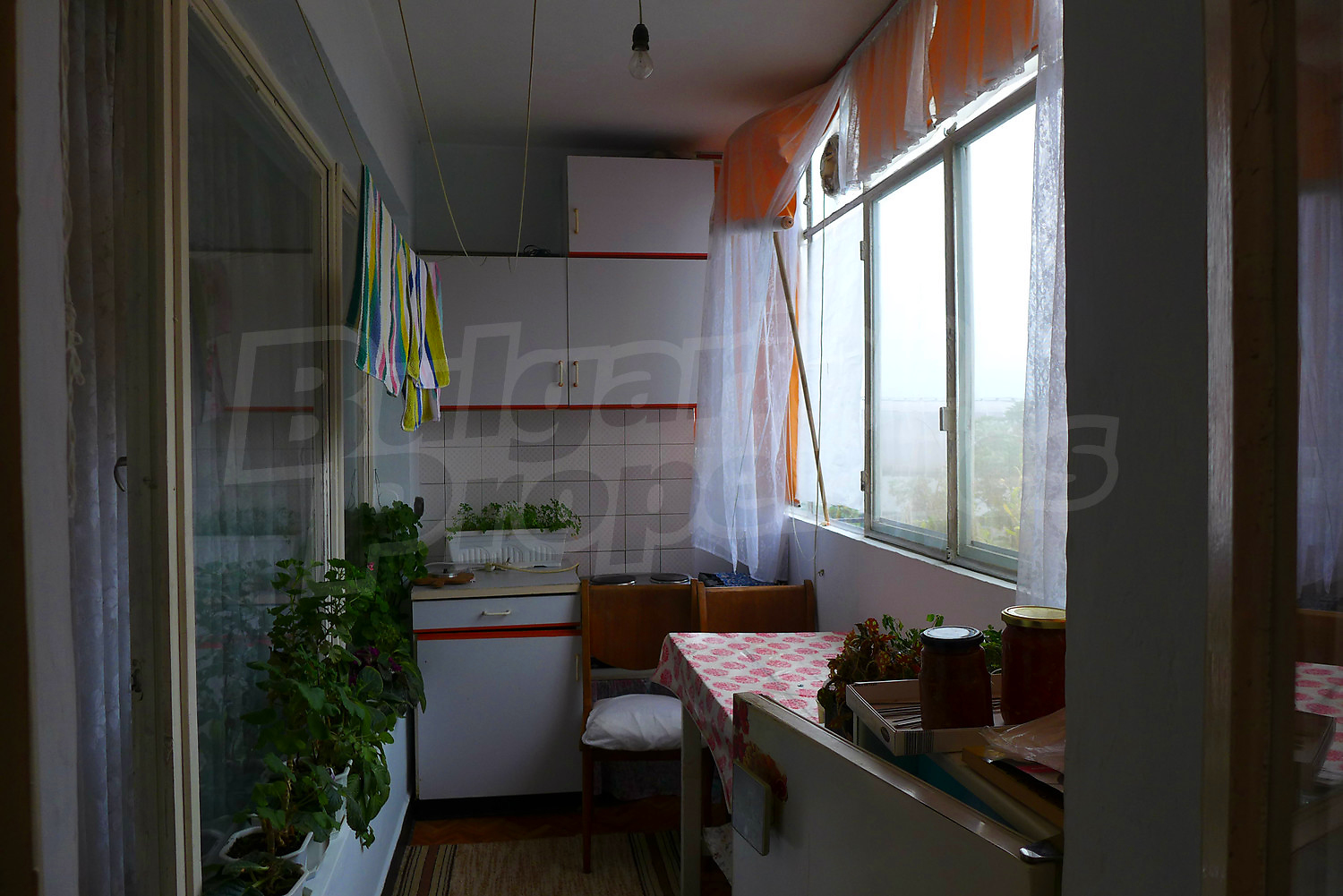 Gallery Picture 10