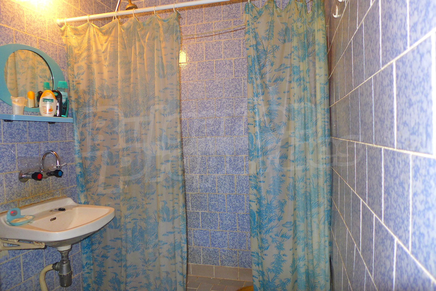 Gallery Picture 11