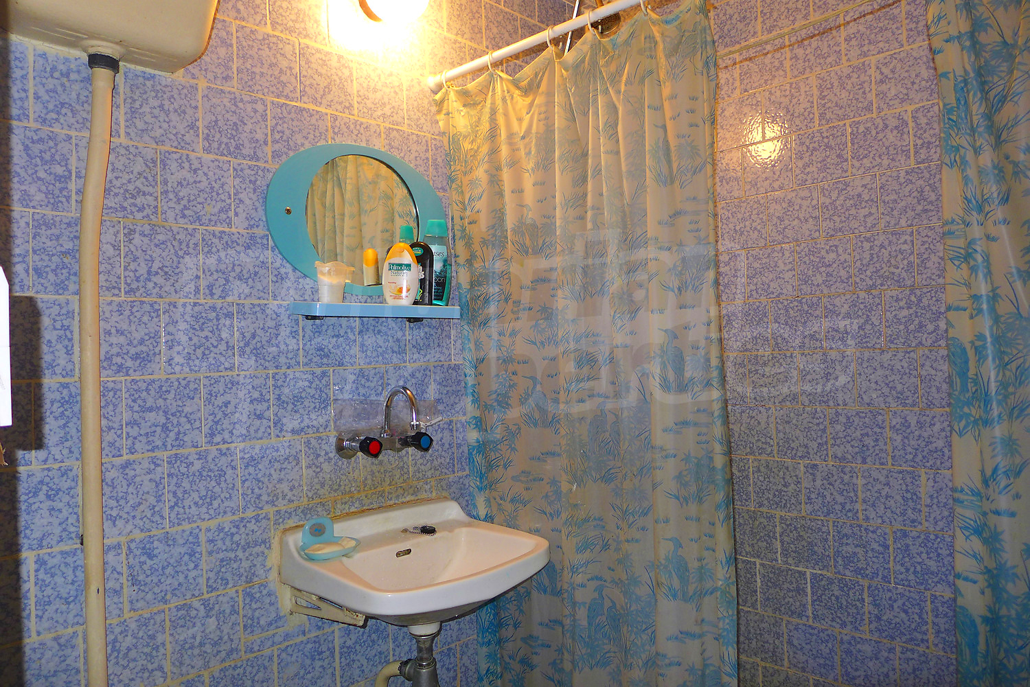 Gallery Picture 12