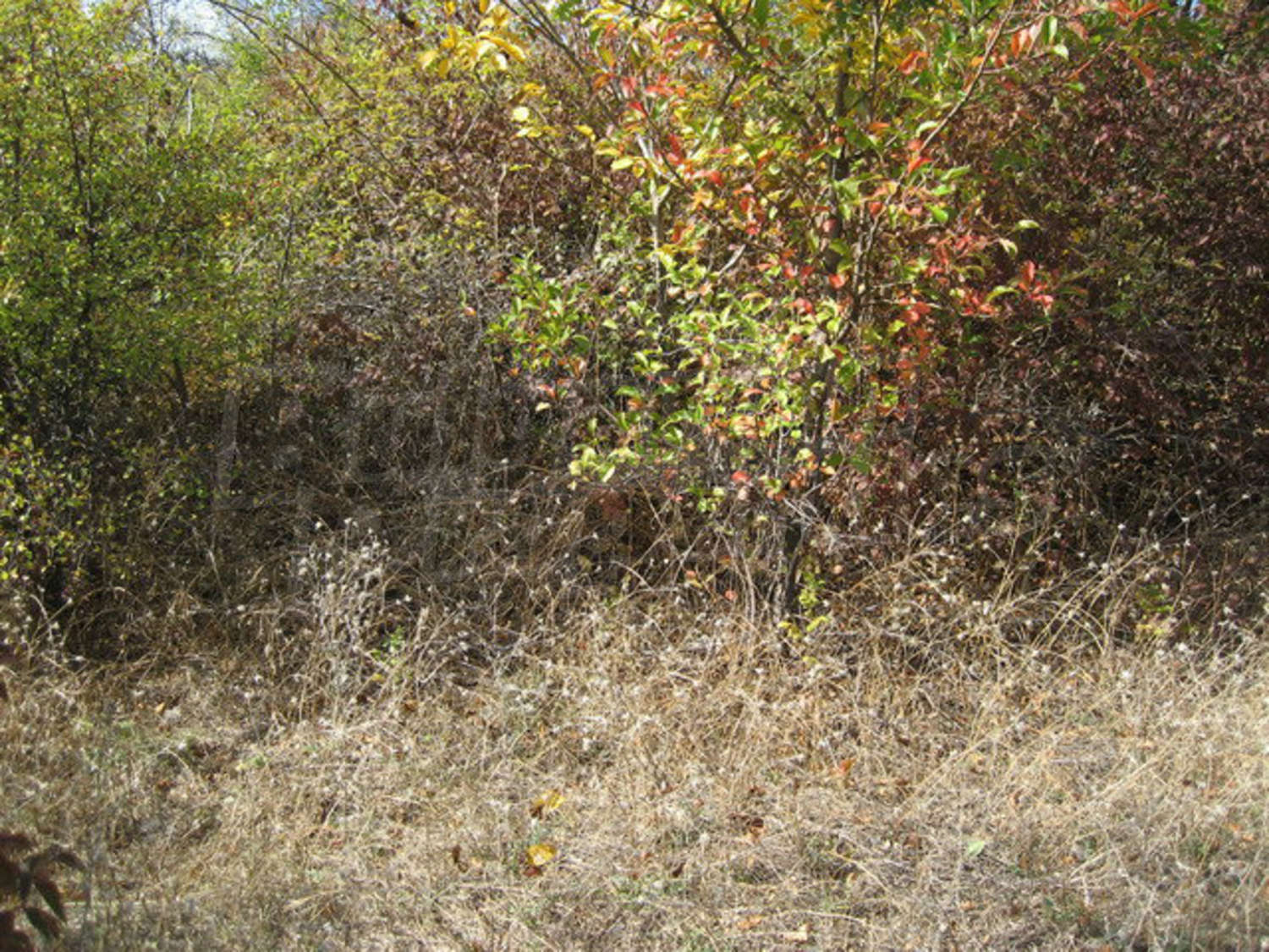 Gallery Picture 9