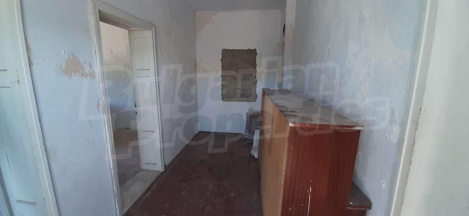 Gallery Picture 24