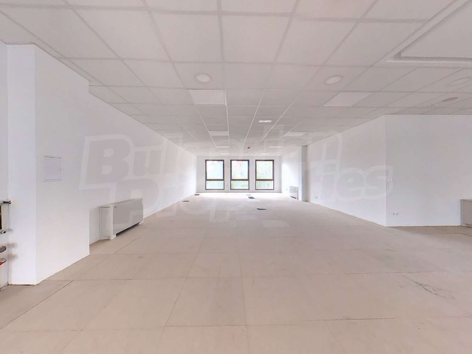 Gallery Picture 6