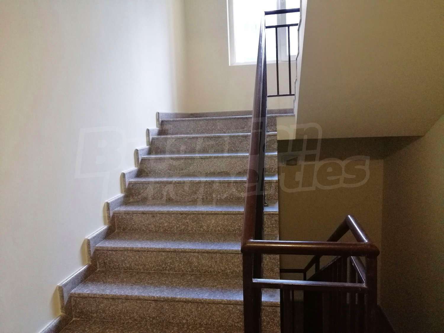 Gallery Picture 22