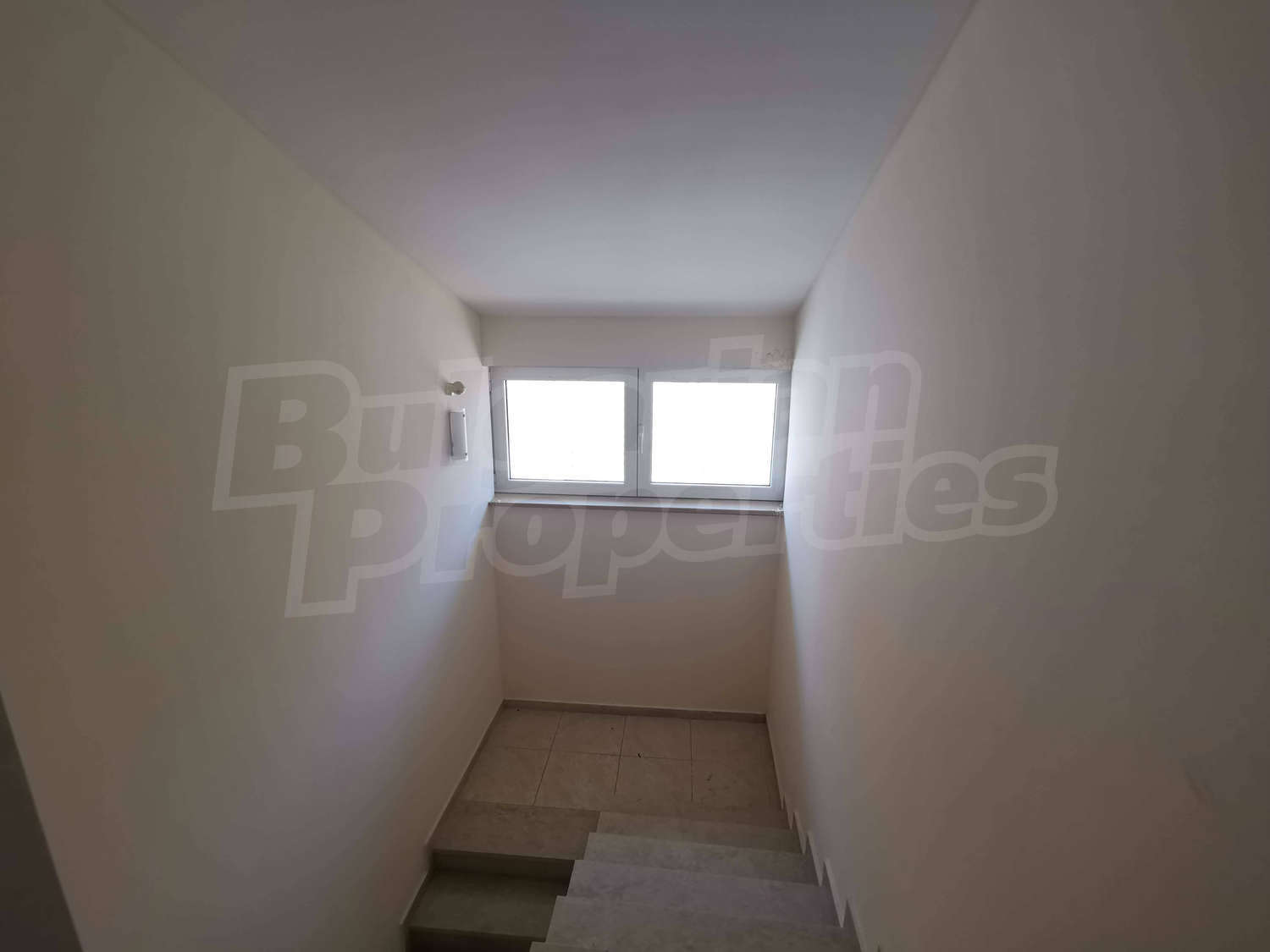 Gallery Picture 18