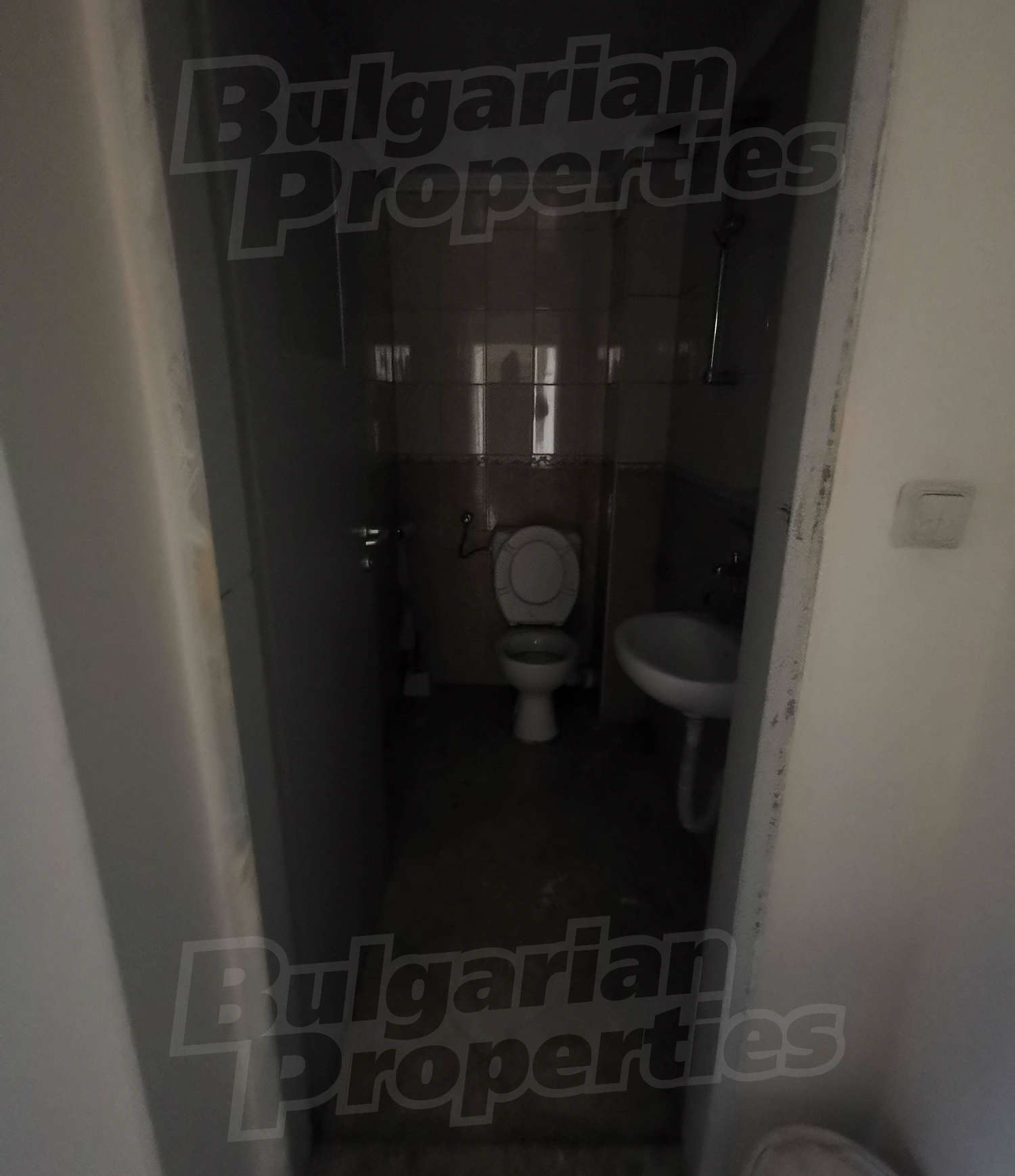 Gallery Picture 6